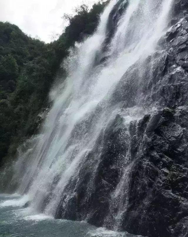 签了劳动合同自离有什么后果- 专业有问必答平台